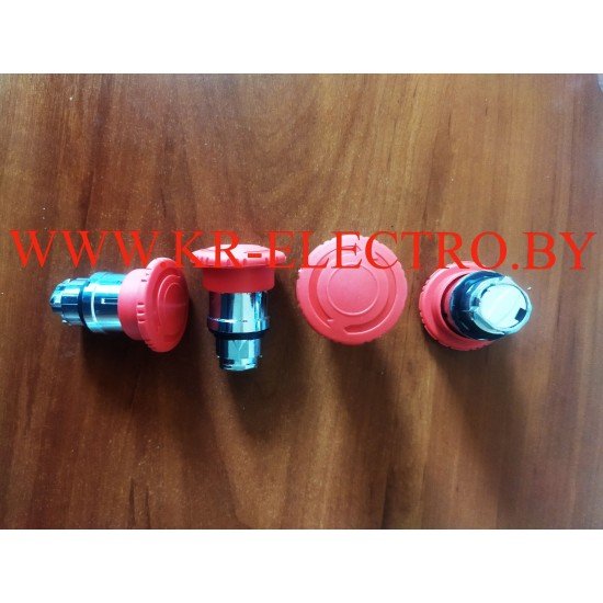 Головка ZB4BS4 BR Головка ZB4BS4 BR