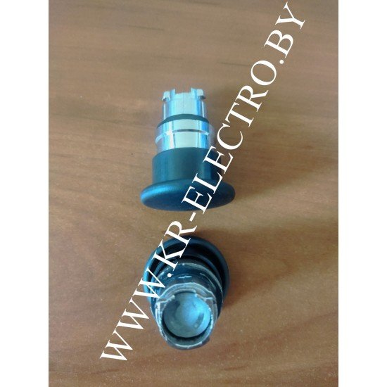 Головка ZB4B-C2 BR Головка ZB4B-C2 BR